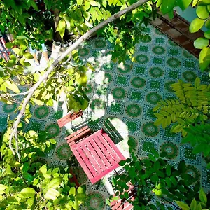 Xanh Lá , Hoi An Vietnam